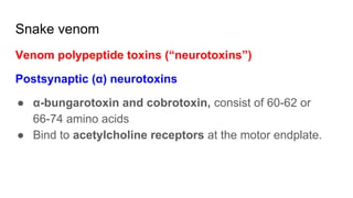 Snake venom
Venom polypeptide toxins (“neurotoxins”)
Postsynaptic (α) neurotoxins
● α-bungarotoxin and cobrotoxin, consist of 60-62 or
66-74 amino acids
● Bind to acetylcholine receptors at the motor endplate.
 