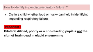 How to identify impending respiratory failure ?
● Cry in a child whether loud or husky can help in identifying
impending respiratory failure
Important :
Bilateral dilated, poorly or a non-reacting pupil is not the
sign of brain dead in elapid envenoming
 