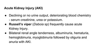 Acute Kidney Injury (AKI)
● Declining or no urine output, deteriorating blood chemistry
- serum creatinine, urea or potassium.
● Russell’s viper (Daboia sp) frequently cause acute
Kidney Injury.
● Bilateral renal angle tenderness, albuminuria, hematuria,
hemoglobinuria, myoglobinuria followed by oliguria and
anuria with AKI.
 