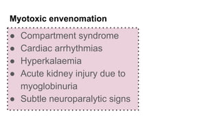 Myotoxic envenomation
● Compartment syndrome
● Cardiac arrhythmias
● Hyperkalaemia
● Acute kidney injury due to
myoglobinuria
● Subtle neuroparalytic signs
 