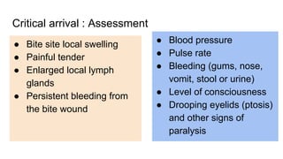 Critical arrival : Assessment
● Bite site local swelling
● Painful tender
● Enlarged local lymph
glands
● Persistent bleeding from
the bite wound
● Blood pressure
● Pulse rate
● Bleeding (gums, nose,
vomit, stool or urine)
● Level of consciousness
● Drooping eyelids (ptosis)
and other signs of
paralysis
 