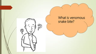What is venomous
snake bite?
 