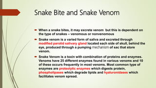  When a snake bites, it may excrete venom but this is dependent on
the type of snakes – venomous or nonvenomous
 Snake venom is a varied form of saliva and excreted through
modified parotid salivary gland located each side of skull, behind the
eye, produced through a pumping mechanism of sac that store
venom.
 Snake Venom is a toxin with combination of proteins and enzymes.
Venoms have 25 different enzymes found in various venoms and 10
of these occurs frequently in most venoms. Most common type of
enzymes are proteolytic enzymes which digests protein,
phospholipases which degrade lipids and hyaluronidases which
facilitates venom spread.
Snake Bite and Snake Venom
 