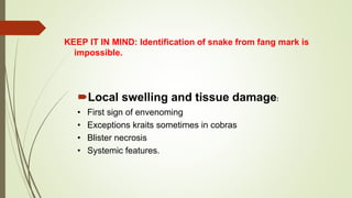 Local swelling and tissue damage:
• First sign of envenoming
• Exceptions kraits sometimes in cobras
• Blister necrosis
• Systemic features.
KEEP IT IN MIND: Identification of snake from fang mark is
impossible.
 