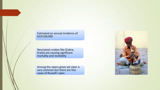 Estimated an annual incidence of
623/100,000
Neurotoxic snakes like (Cobra,
Kraits) are causing significant
mortality and morbidity
Among the vipers green pit viper is
very common but there are few
cases of Russell's viper.
 