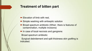 Treatment of bitten part
 Elevation of limb with rest.
 Simple washing with antiseptic solution
 Broad spectrum antibiotic (When there is features of
contamination, multiple incisions)
 In case of local necrosis and gangrene:
Broad spectrum antibiotic
Surgical debridement and split thickness skin grafting is
indicated.
 