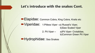 Elapidae: Common Cobra, King Cobra, Kraits etc
Viperidae: 1.Pitless Viper –a) Russel’s Viper,
b)Saw Scaled Viper
2. Pit Viper – a)Pit Viper- Crotalidae,
b)Common Green Pit Viper
Hydrophidae: Sea Snakes
Let’s introduce with the snakes Cont.
 