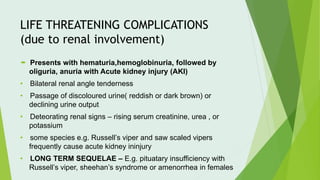 LIFE THREATENING COMPLICATIONS
(due to renal involvement)
 Presents with hematuria,hemoglobinuria, followed by
oliguria, anuria with Acute kidney injury (AKI)
• Bilateral renal angle tenderness
• Passage of discoloured urine( reddish or dark brown) or
declining urine output
• Deteorating renal signs – rising serum creatinine, urea , or
potassium
• some species e.g. Russell’s viper and saw scaled vipers
frequently cause acute kidney ininjury
• LONG TERM SEQUELAE – E.g. pituatary insufficiency with
Russell’s viper, sheehan’s syndrome or amenorrhea in females
 