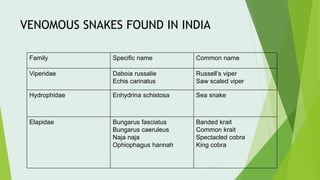 VENOMOUS SNAKES FOUND IN INDIA
Family Specific name Common name
Viperidae Daboia russalie
Echis carinatus
Russell’s viper
Saw scaled viper
Hydrophidae Enhydrina schistosa Sea snake
Elapidae Bungarus fasciatus
Bungarus caeruleus
Naja naja
Ophiophagus hannah
Banded krait
Common krait
Spectacled cobra
King cobra
 