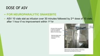 DOSE OF ASV
 FOR NEUROPARALYTIC SNAKEBITE
 ASV 10 vials stat as infusion over 30 minutes followed by 2nd dose of 10 vials
after 1 hour if no improvement within 1st hr
 