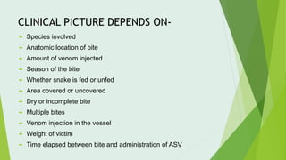 CLINICAL PICTURE DEPENDS ON-
 Species involved
 Anatomic location of bite
 Amount of venom injected
 Season of the bite
 Whether snake is fed or unfed
 Area covered or uncovered
 Dry or incomplete bite
 Multiple bites
 Venom injection in the vessel
 Weight of victim
 Time elapsed between bite and administration of ASV
 