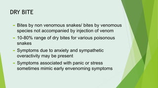 DRY BITE
 Bites by non venomous snakes/ bites by venomous
species not accompanied by injection of venom
 10-80% range of dry bites for various poisonous
snakes
 Symptoms due to anxiety and sympathetic
overactivity may be present
 Symptoms associated with panic or stress
sometimes mimic early envenoming symptoms
 