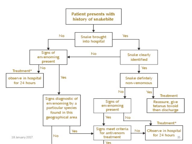 Snake Bite Protocol Snake Bite Protocol