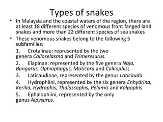 Types of snakes
• In Malaysia and the coastal waters of the region, there are
  at least 18 different species of venomous front fanged land
  snakes and more than 22 different species of sea snakes
• These venomous snakes belong to the following 5
  subfamilies:
  1. Crotalinae: represented by the two
  genera Calloselasma and Trimeresurus.
  2. Elapinae: represented by the five genera Naja,
  Bungarus, Ophiophagus, Maticora and Calliophis;
  3. Laticaudinae, represented by the genus Laticauda
  4. Hydrophiini, represented by the six genera Enhydrina,
  Kerilia, Hydrophis, Thalassophis, Pelamis and Kolpophis
  5. Ephalophiini, represented by the only
  genus Aipysurus.
 
