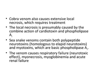 • Cobra venom also causes extensive local
  necrosis, which requires treatment
• The local necrosis is presumably caused by the
  combine action of cardiotoxin and phospholipase
  A2
• Sea snake venoms contain both polypeptide
  neurotoxins (homologous to elapid neurotoxins)
  and myotoxins, which are basic phospholipase A2.
• The venom causes respiratory failure (neurotoxic
  effect), myonecrosis, myoglobinemia and acute
  renal failure
 