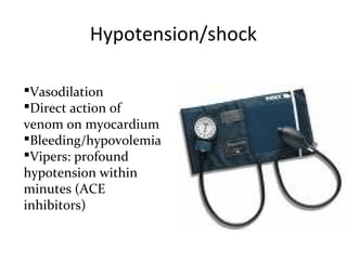 Hypotension/shock

Vasodilation
Direct action of
venom on myocardium
Bleeding/hypovolemia
Vipers: profound
hypotension within
minutes (ACE
inhibitors)
 