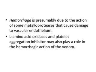 • Hemorrhage is presumably due to the action
  of some metalloproteases that cause damage
  to vascular endothelium.
• L-amino acid oxidases and platelet
  aggregation inhibitor may also play a role in
  the hemorrhagic action of the venom.
 