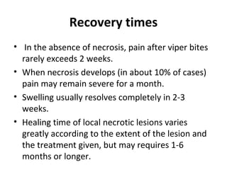 Recovery times
• In the absence of necrosis, pain after viper bites
  rarely exceeds 2 weeks.
• When necrosis develops (in about 10% of cases)
  pain may remain severe for a month.
• Swelling usually resolves completely in 2-3
  weeks.
• Healing time of local necrotic lesions varies
  greatly according to the extent of the lesion and
  the treatment given, but may requires 1-6
  months or longer.
 