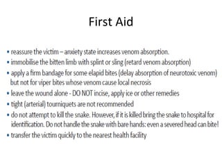 First Aid
 