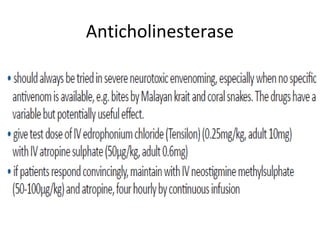 Anticholinesterase
 
