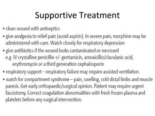 Supportive Treatment
 