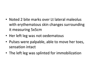 • Noted 2 bite marks over Lt lateral maleolus
  with erythematous skin changes surrounding
  it measuring 5x5cm
• Her left leg was not oedematous
• Pulses were palpable, able to move her toes,
  sensation intact
• The left leg was splinted for immobilization
 