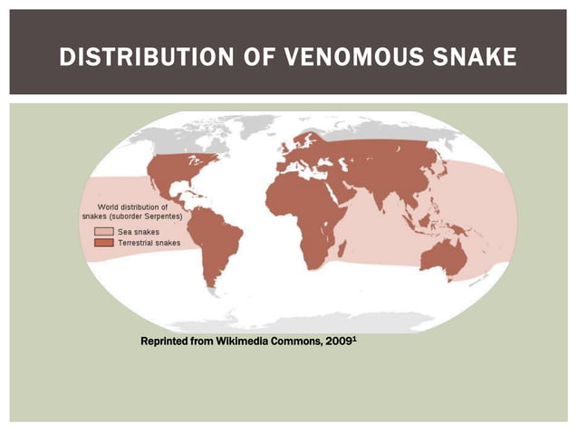 Picture of Snake bites - Neglected Disease | PPT