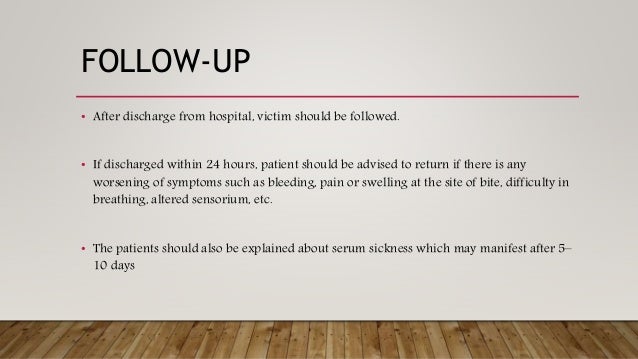 Snake bite essay image