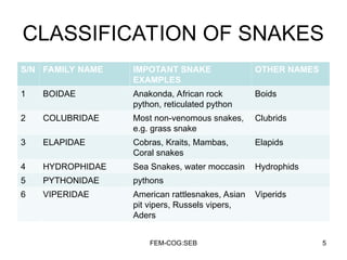 SNAKE BITES- latest-1.ppt tx 2024. | PPT