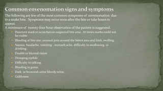  Puncture mark or scratches on suspected bite area. At times marks could not
be visible
 Bleeding at bite site, unusual pain around the bitten area and limb, swelling
 Nausea, headache, vomiting , stomach ache, difficulty in swallowing or
drinking
 Double or blurred vision
 Drooping eyelids
 Difficulty in talking.
 Bleeding in gums.
 Dark or brownish urine bloody urine.
 Giddyness
The following are few of the most common symptoms of envenomation due
to a snake bite. Symptoms may occur soon after the bite or take hours to
appear.
A minimum of twenty-four hour observation of the patient is suggested.
 