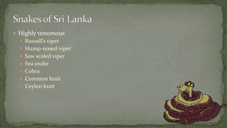  Highly venomous
 Russell’s viper
 Hump-nosed viper
 Saw scaled viper
 Sea snake
 Cobra
 Common krait
 Ceylon krait
 