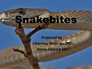 Prepared by:-
Liberatus Makenge MD4
Henry Edward MD4
Snakebites
 