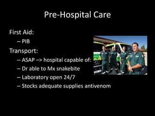 Pre-Hospital Care
First Aid:
– PIB
Transport:
– ASAP –> hospital capable of:
– Dr able to Mx snakebite
– Laboratory open 24/7
– Stocks adequate supplies antivenom
 