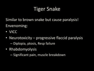 Tiger Snake
Similar to brown snake but cause paralysis!
Envenoming:
• VICC
• Neurotoxicity – progressive flaccid paralysis
– Diplopia, ptosis, Resp failure
• Rhabdomyolysis
– Significant pain, muscle breakdown
 