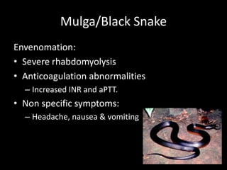 Mulga/Black Snake
Envenomation:
• Severe rhabdomyolysis
• Anticoagulation abnormalities
– Increased INR and aPTT.
• Non specific symptoms:
– Headache, nausea & vomiting
 