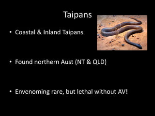 Taipans
• Coastal & Inland Taipans
• Found northern Aust (NT & QLD)
• Envenoming rare, but lethal without AV!
 