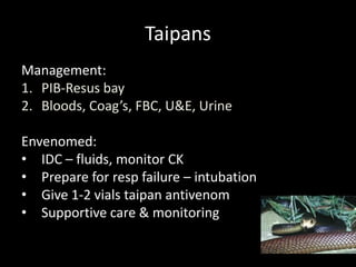 Taipans
Management:
1. PIB-Resus bay
2. Bloods, Coag’s, FBC, U&E, Urine
Envenomed:
• IDC – fluids, monitor CK
• Prepare for resp failure – intubation
• Give 1-2 vials taipan antivenom
• Supportive care & monitoring
 