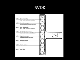SVDK
 