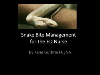 Snake Bite Management
for the ED Nurse
By Kane Guthrie FCENA
 
