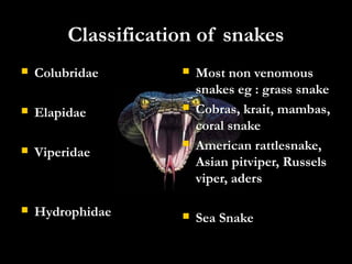 Snake bite and its management | PPT
