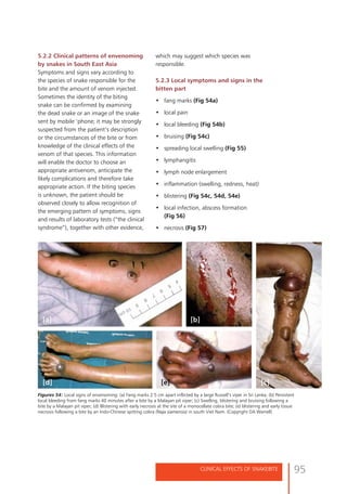 Snake bite who guidelines | PDF