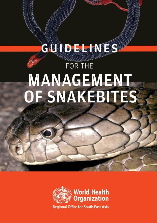 king cobra vs black mamba video download King cobra snake attacks black mamba incredible animal attack.