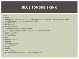 BLUE TONGUE SKINK
Foods:
Protein:
 Canned/dry super premium dog/cat food (must be moist) (NO meat/bone meal)
 Insect products (variety, snails are great)
 Mealworms/superworms
 Boiled eggs
 Boiled chicken
 Lean ground turkey/beef (cooked)
 Pinky mice/rats (preferably f/t, only feed occasionally)
Fruit and Veggie:
 Collard greens
 Turnip greens
 Kale
 Mustard greens
 Squash
 Peas and carrots
 Brussel sprouts
 Mango
 Papaya
 Cantaloupe
 Berries (Strawberries, blueberries, raspberries)
 