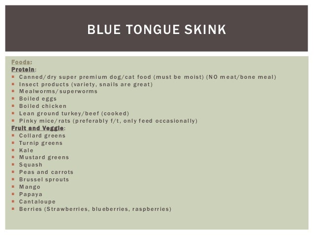 reptile care sheet mice care sheet