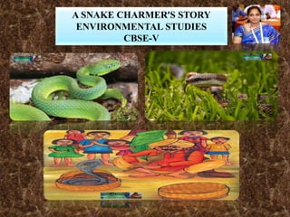 A SNAKE CHARMER’S STORY
ENVIRONMENTAL STUDIES
CBSE-V
 