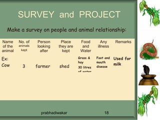 SURVEY and PROJECT
  Make a survey on people and animal relationship:

Name     No. of    Person     Place      Food         Any      Remarks
of the   animals   looking   they are     and       illness
animal    kept       after     kept      Water

Ex:                                     Grass &     Foot and   Used for
                                        hay         mouth
Cow                                                            milk
           3       farmer     shed      30 litres   disease
                                        of water




                     prabhadiwakar                      18
 
