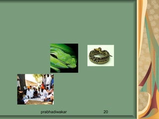 prabhadiwakar   20
 