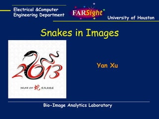 Electrical &Computer
Engineering Department

University of Houston

Snakes in Images
Yan Xu

Bio-Image Analytics Laboratory

 