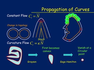 Constant Flow

Ct



N

Propagation of Curves

Change in topology

Curvature Flow

Ct

Grayson



N
Vanish at a
Circular
point

First becomes
convex

Gage-Hamilton

 