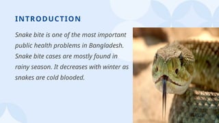 2
INTRODUCTION
Snake bite is one of the most important
public health problems in Bangladesh.
Snake bite cases are mostly found in
rainy season. It decreases with winter as
snakes are cold blooded.
 